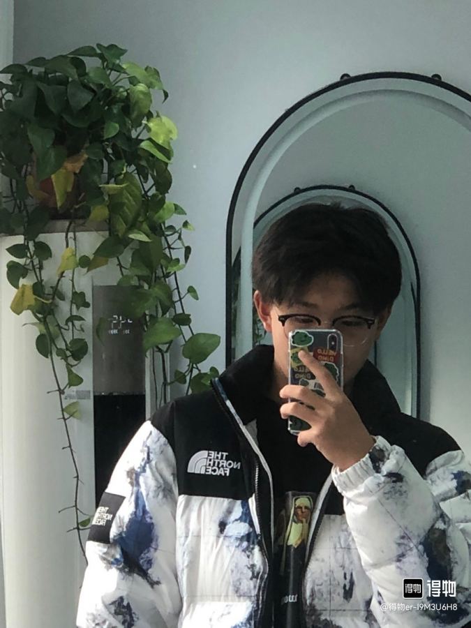 The North Face Down Jackets, North Face 1996 Earth Print, upper body effect of online image — 1:1 Replica — photo 2