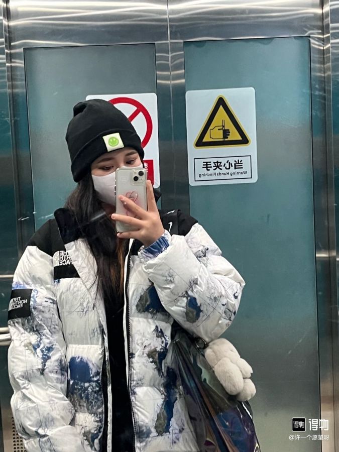 The North Face Down Jackets, North Face 1996 Earth Print, upper body effect of online image — 1:1 Replica — photo 3