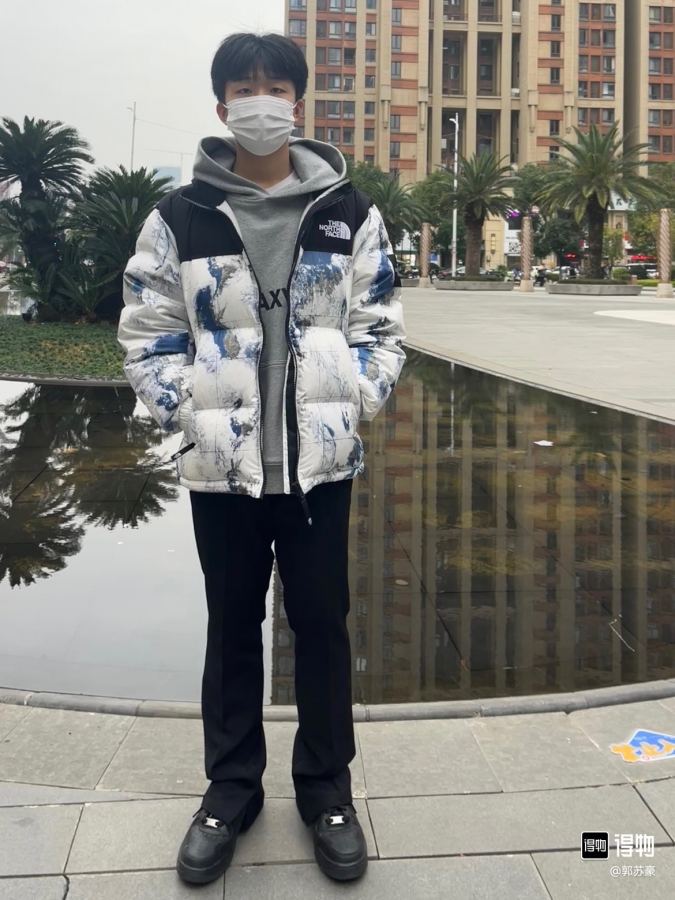 The North Face Down Jackets, North Face 1996 Earth Print, upper body effect of online image — 1:1 Replica — photo 4