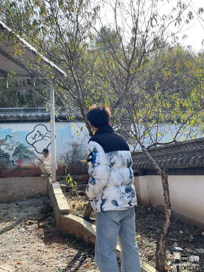 The North Face Down Jackets, North Face 1996 Earth Print, upper body effect of online image — 1:1 Replica — photo 8
