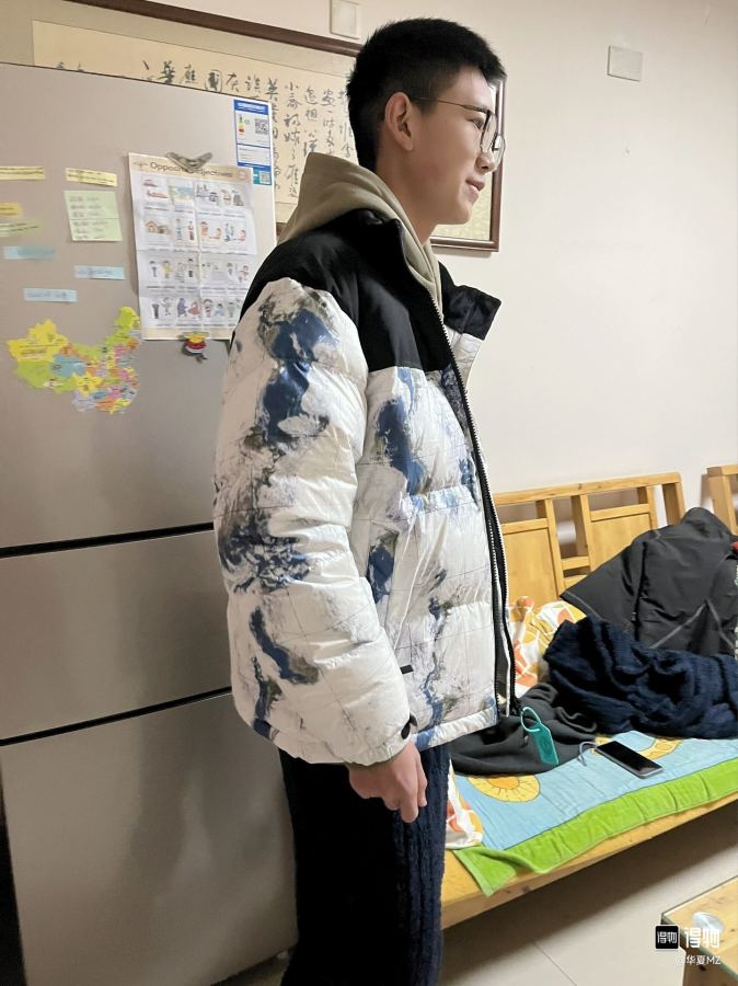 The North Face Down Jackets, North Face 1996 Earth Print, upper body effect of online image — 1:1 Replica — photo 9