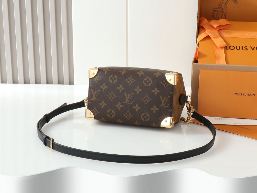 LV bag M13146 Speedy 20 Lv Louis Vuitton 2025 Series LV2025 Series Louis Vuitton — Premium Replica — photo 4