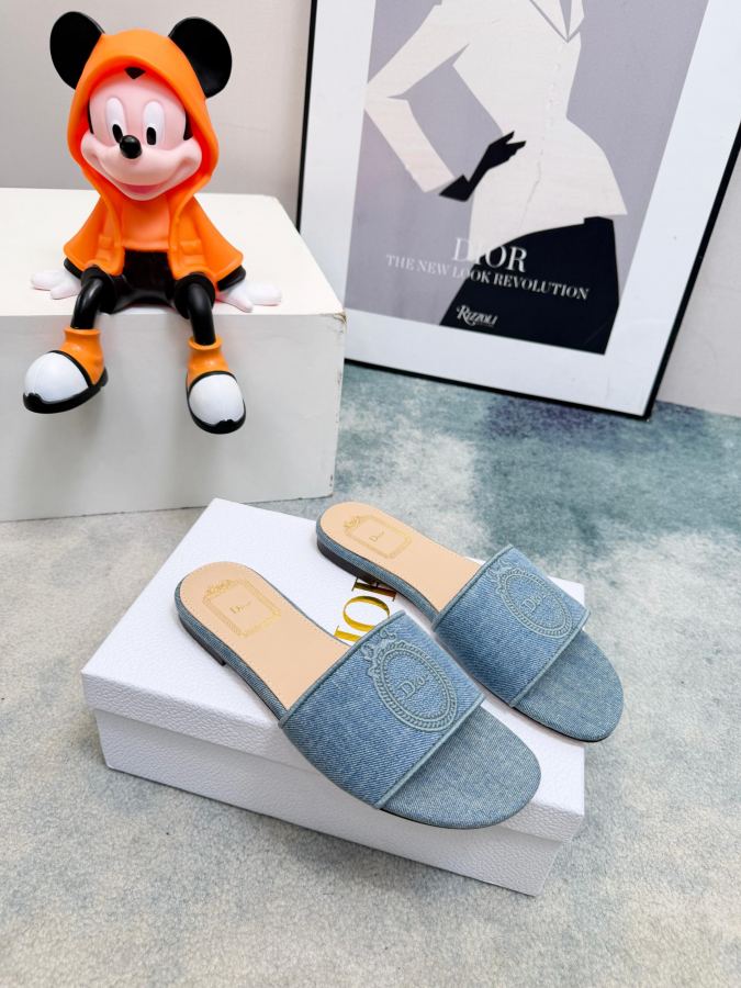 Dior women's shoes Dior 2026 Oblique Dior — 1:1 Replica — photo 6