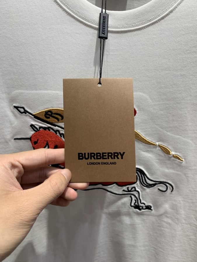 Burberry men 2026 New T M-3 XL — photo 4