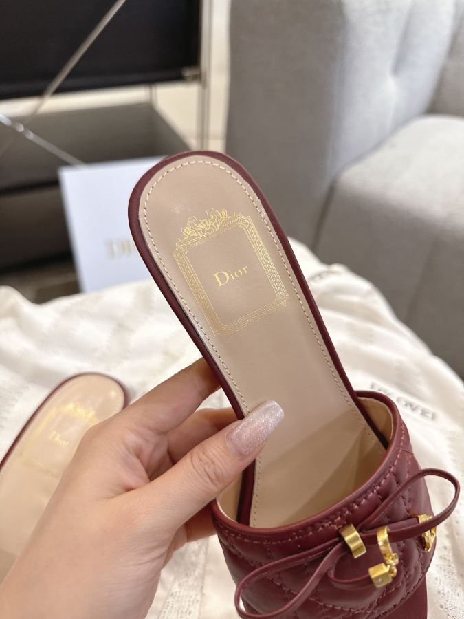 Dior women's shoes Dior 2026 New Ballet CD — Premium Replica — photo 5