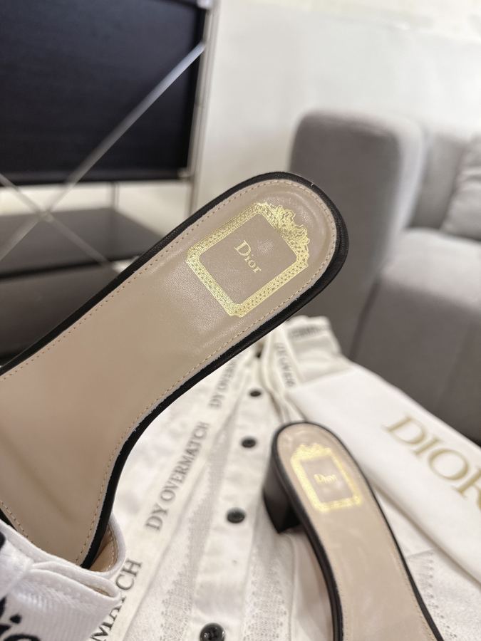 Dior women's shoes Dror2026 spring and summer new colors — Premium Replica — photo 6