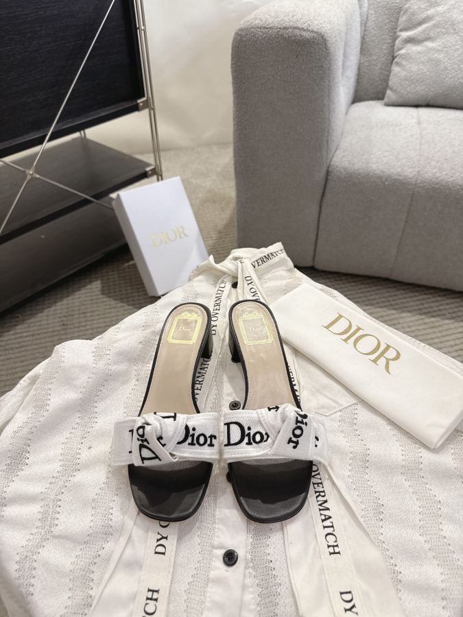 Dior women's shoes Dror2026 spring and summer new colors — Premium Replica