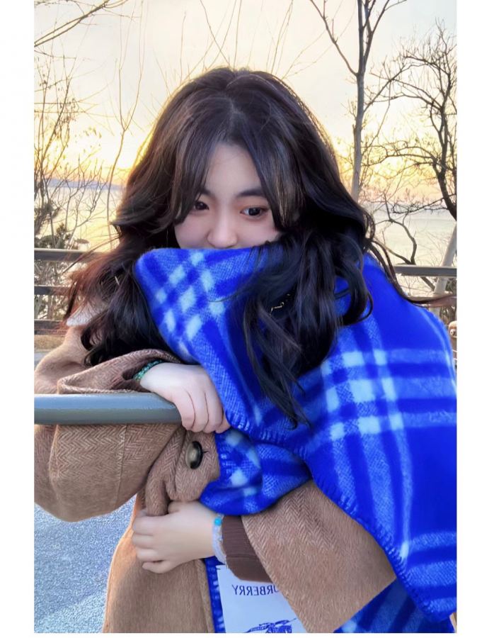 burberry scarf Burberry Factory 〰 Burberry 30*180cm — AAA Quality Replica — photo 3