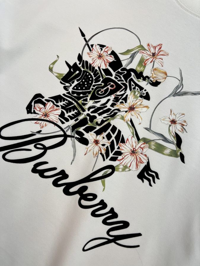 Burberry men Burberry/ 2026 T M-XXXL 175/140 L — Premium Replica — photo 5