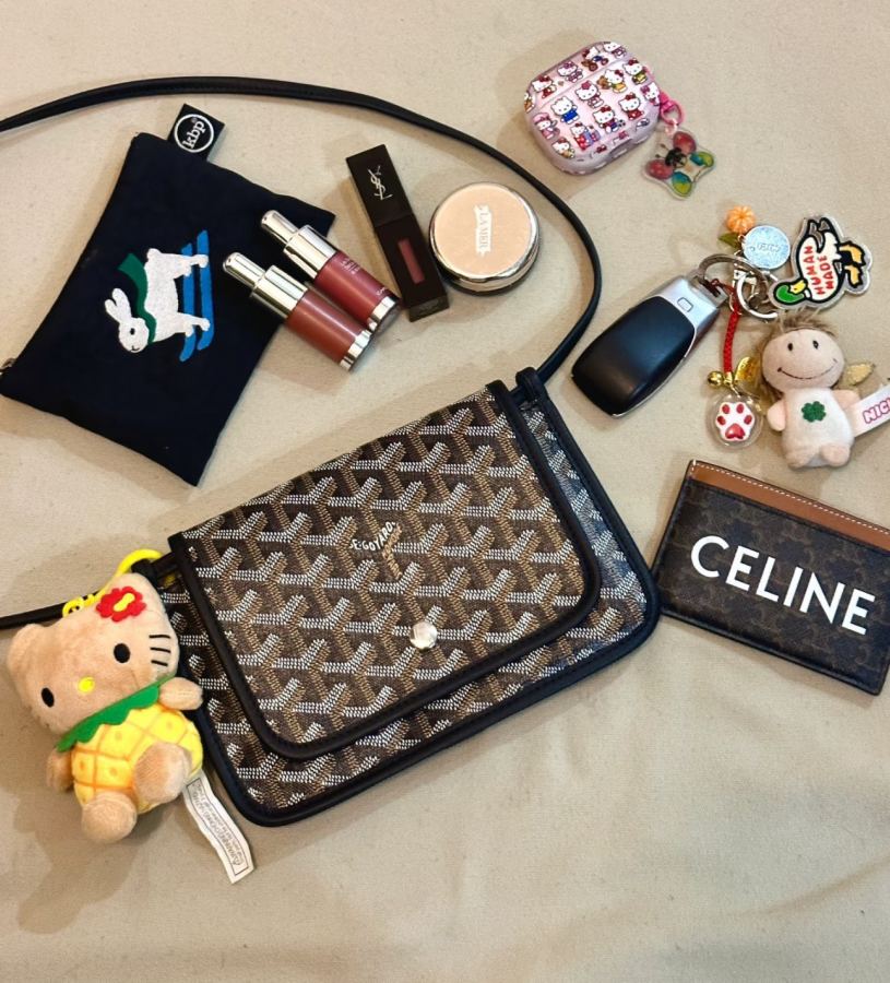 Goyard bag Goya envelope bag is age-reducing, playful, fashionable, lightweight and easy to carry — 1:1 Replica — photo 12