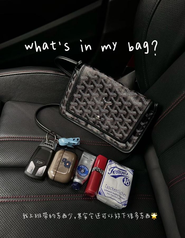 Goyard bag Goya envelope bag is age-reducing, playful, fashionable, lightweight and easy to carry — 1:1 Replica — photo 15