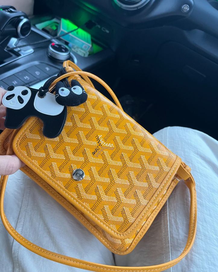 Goyard bag Goya envelope bag is age-reducing, playful, fashionable, lightweight and easy to carry — 1:1 Replica — photo 9