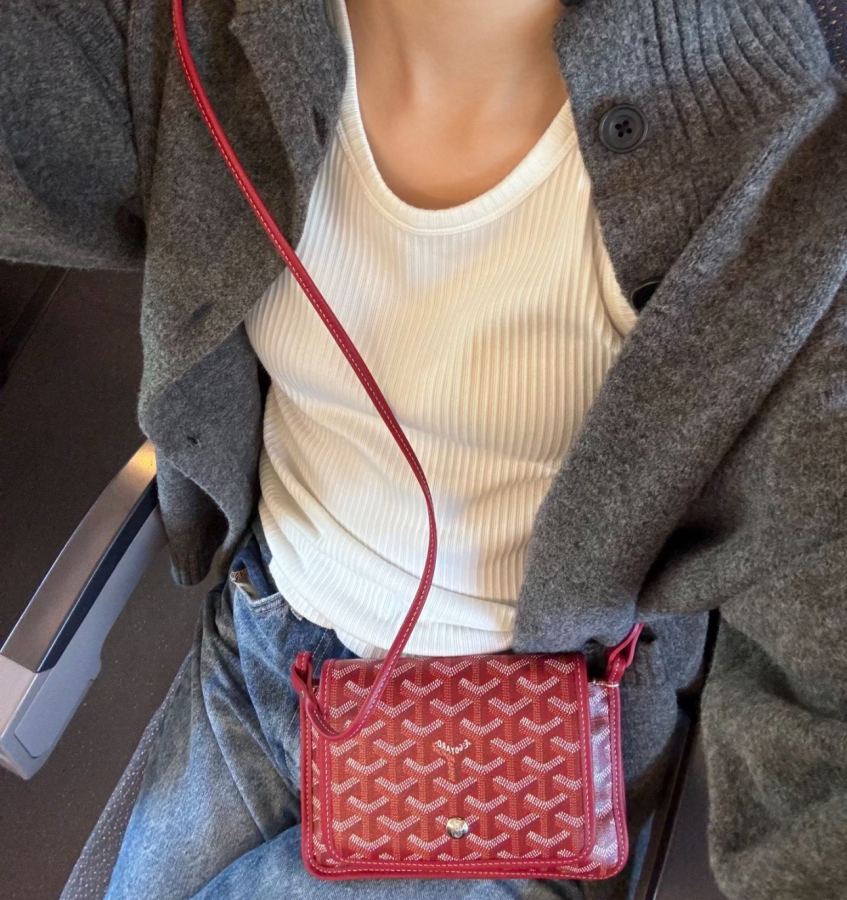 Goyard bag Goya envelope bag is age-reducing, playful, fashionable, lightweight and easy to carry — 1:1 Replica — photo 6