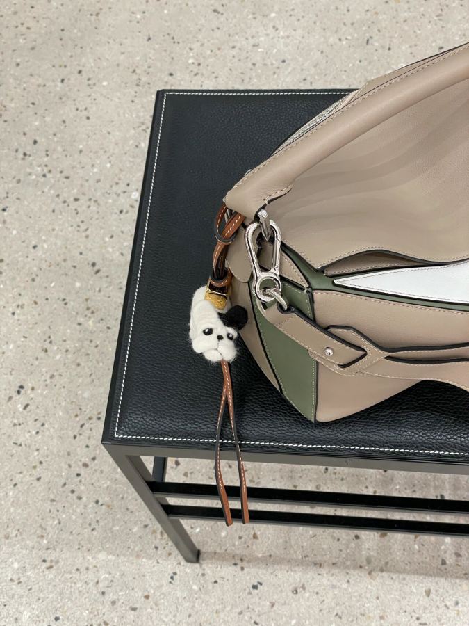 LOEWE bag Motbilde Bruksbilde — photo 2
