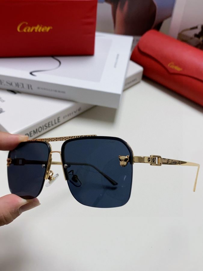 Cartier solbriller Cartier 2026 Nyhed — photo 6