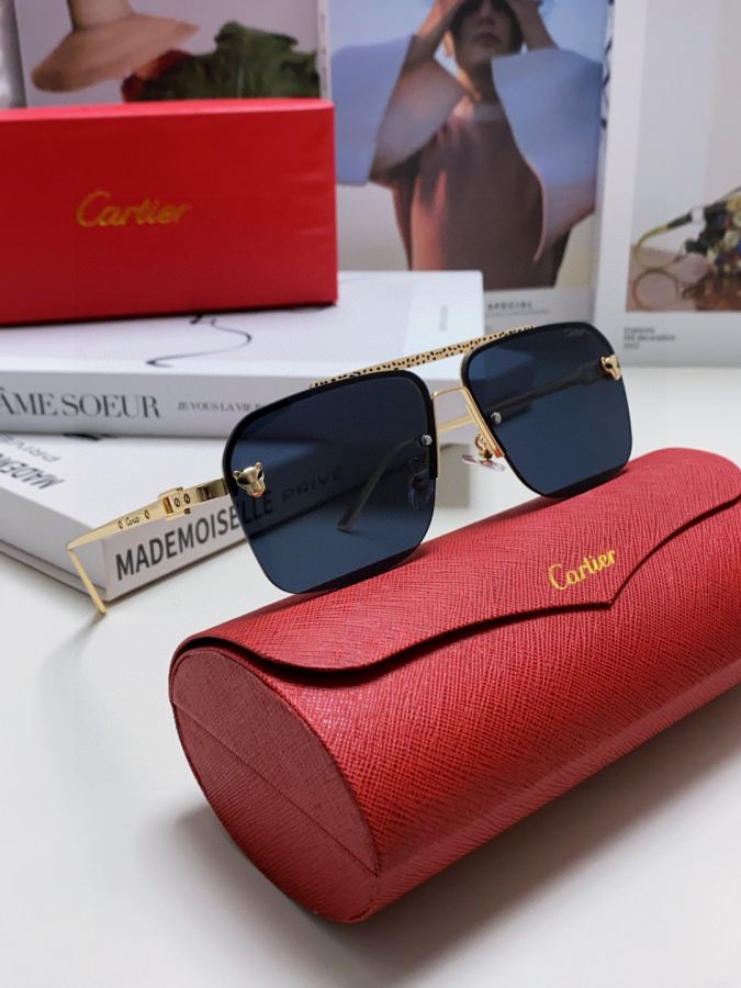 Cartier solbriller Cartier 2026 Nyhed — photo 8
