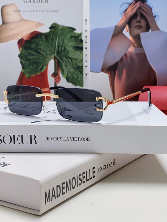 Occhiali da sole Cartier 2025 Nuovo — photo 2