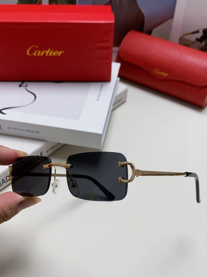 Occhiali da sole Cartier 2025 Nuovo — photo 7