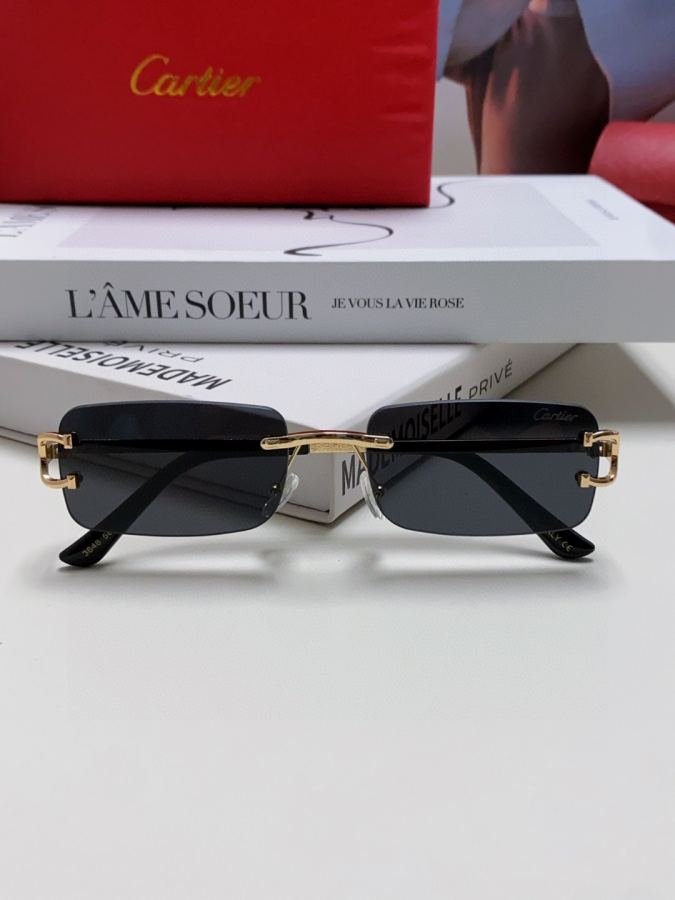 Occhiali da sole Cartier 2025 Nuovo — photo 8