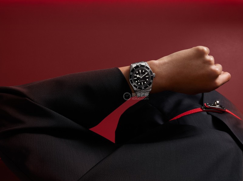 Tudor Watches DIF Tudor case Tudor “T-fit” 8 bracelet case 41mm watch — 1:1 Replica — photo 2