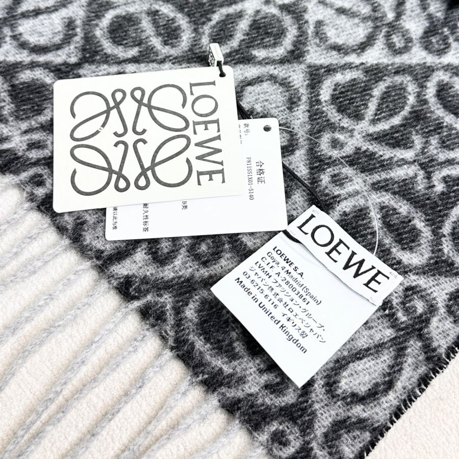 Loewe glasses High quality five colors arrived! Double hanging version, hand-sewn labels! 𝐋𝐨𝐞𝐰𝐞, — AAA Quality Replica — photo 8