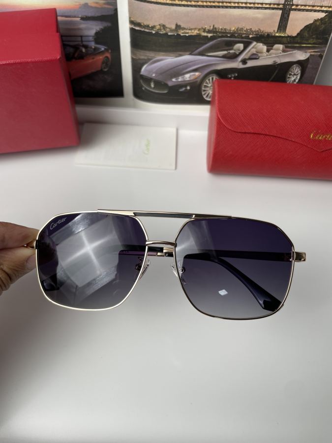 Cartier sunglasses Cartier Men's Women's logo 8166 — AAA Quality Replica — photo 4