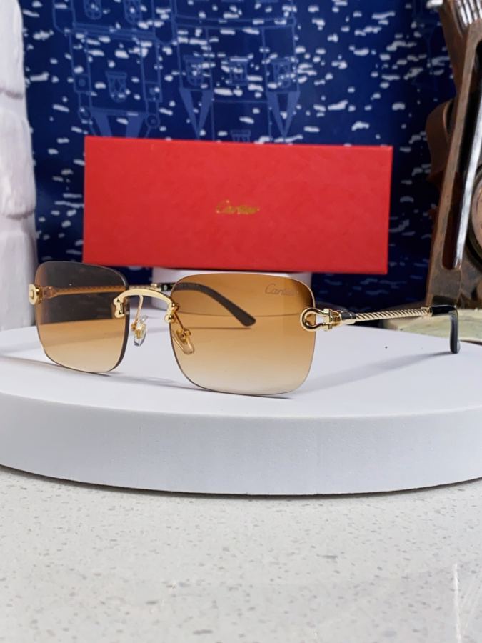 Cartier solbriller Cartier 2055 Nyhed