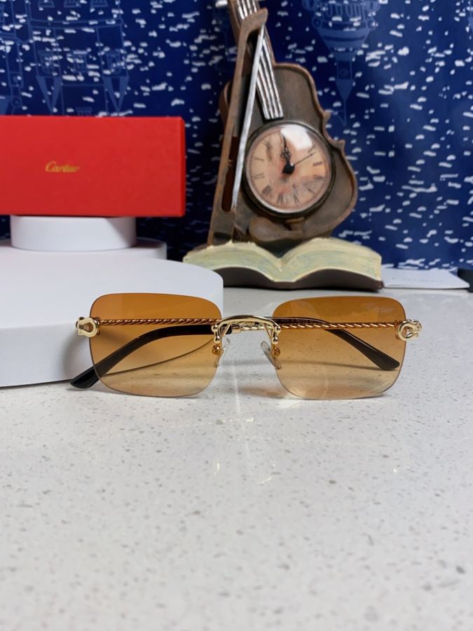 Cartier solbriller Cartier 2055 Nyhed — photo 9