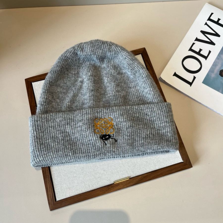 Loewe hat Special batch ¥ — Premium Replica