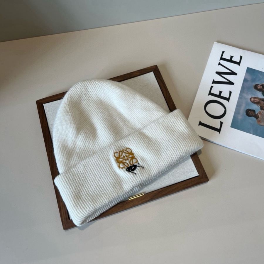 Loewe hat Special batch ¥ — 1:1 Replica — photo 2