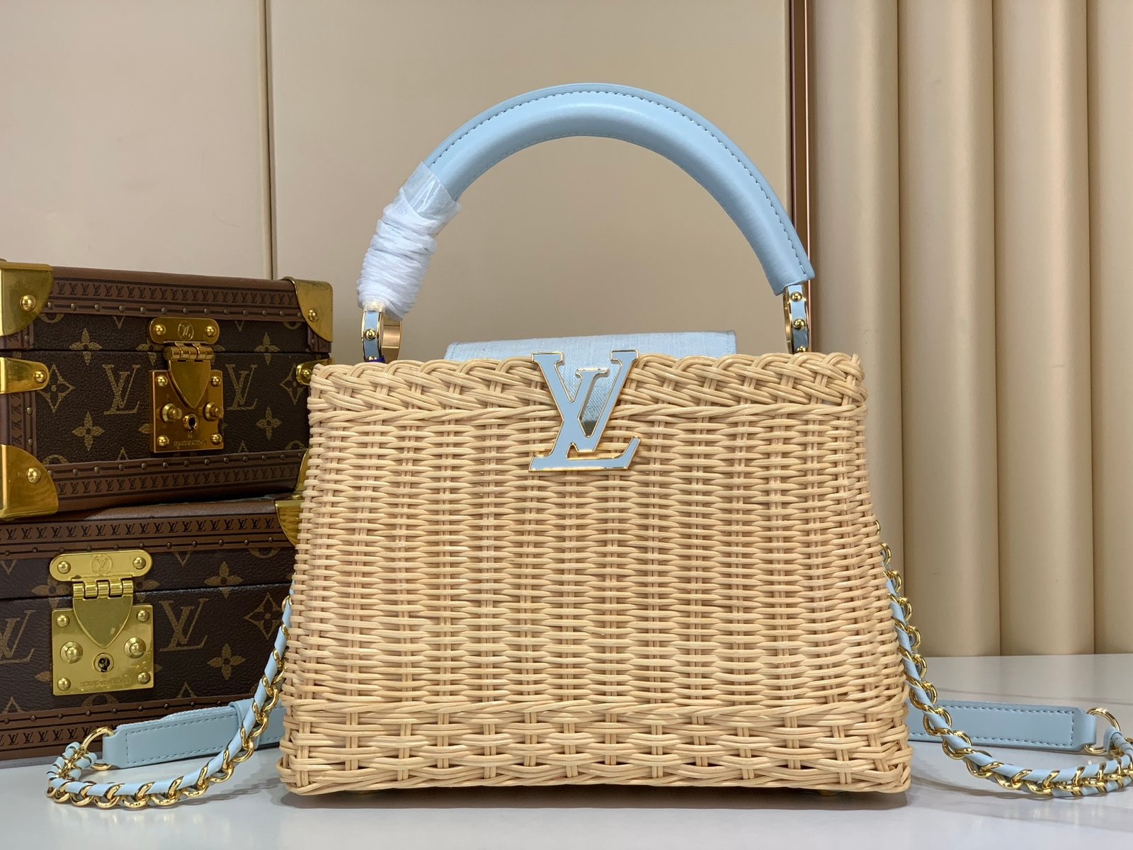 LV bag CAPUCINES bb m28548
