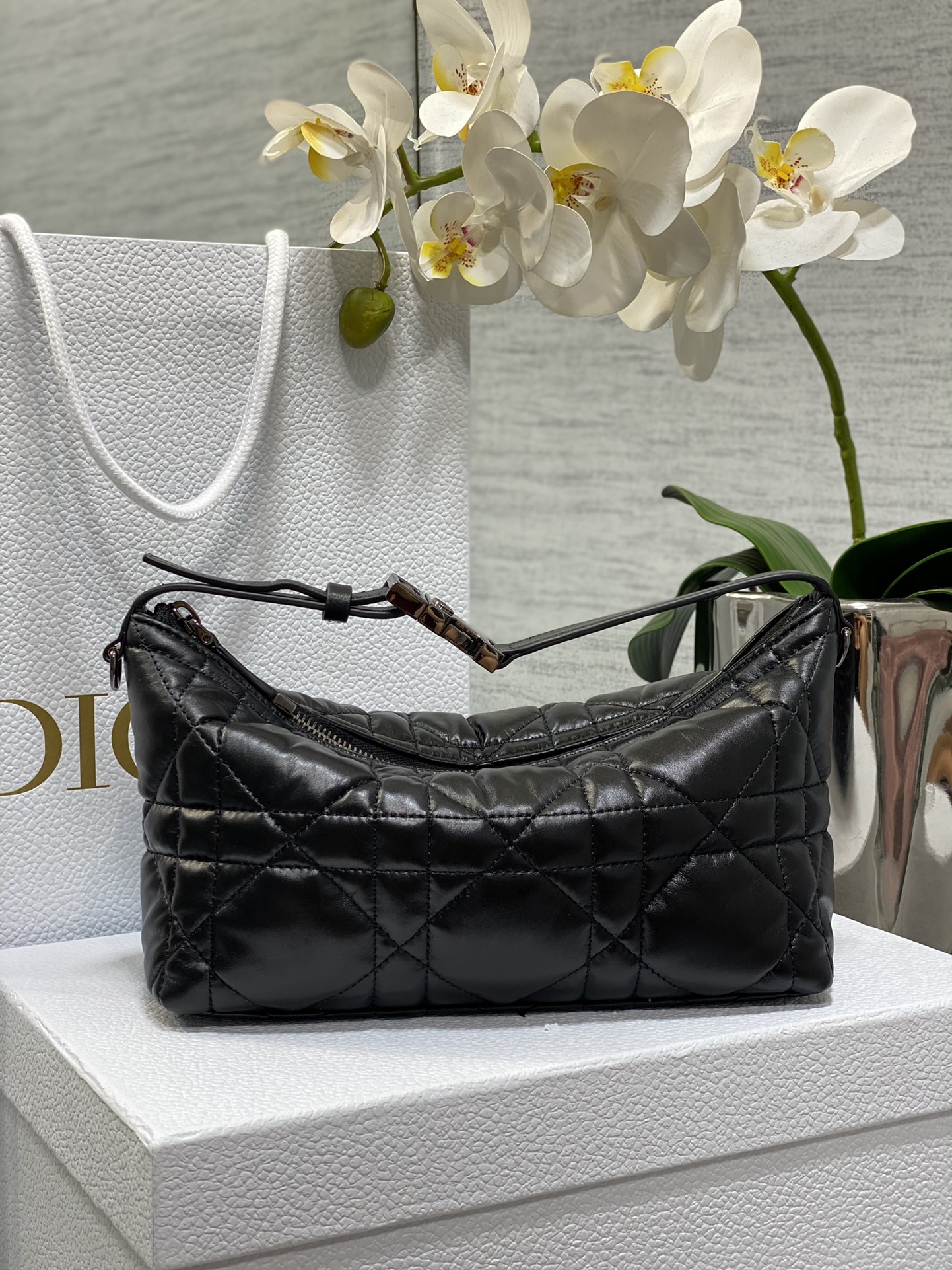 Dior bag 𝗗𝗜𝗢𝗥 𝗡𝗼𝗺𝗮𝗱 lunch box bag