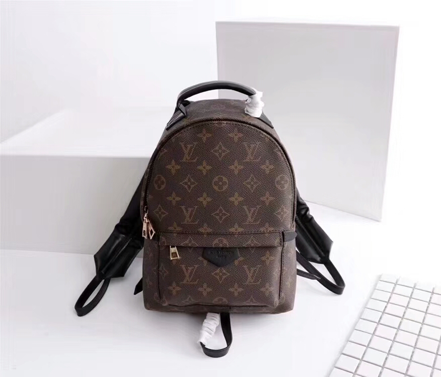 Louis Vuitton Palm Springs Backpack PM M41560 Monogram 20x31x10cm backpack — travel commuting
