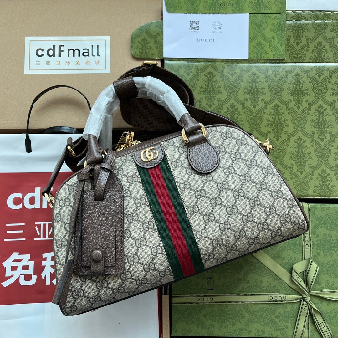 Gucci bag Premium