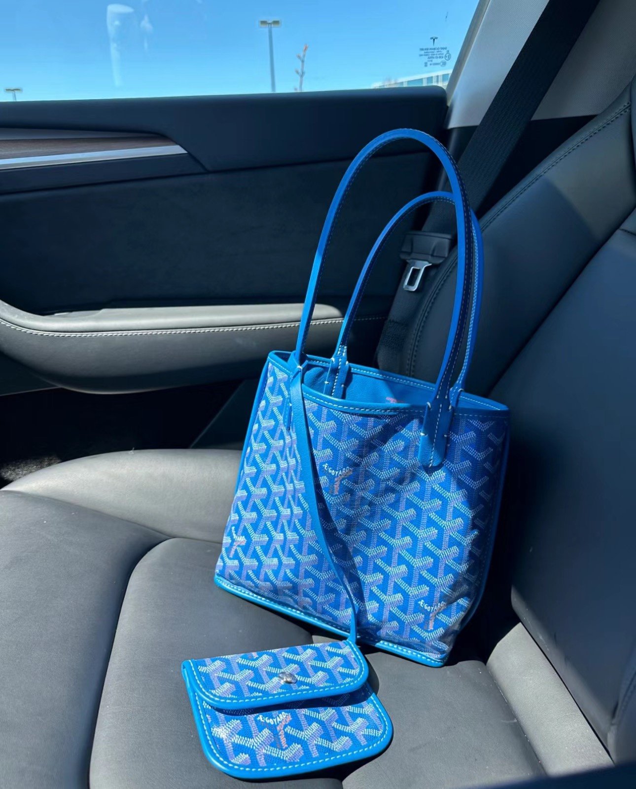 Goyard bag tote mini ， 。