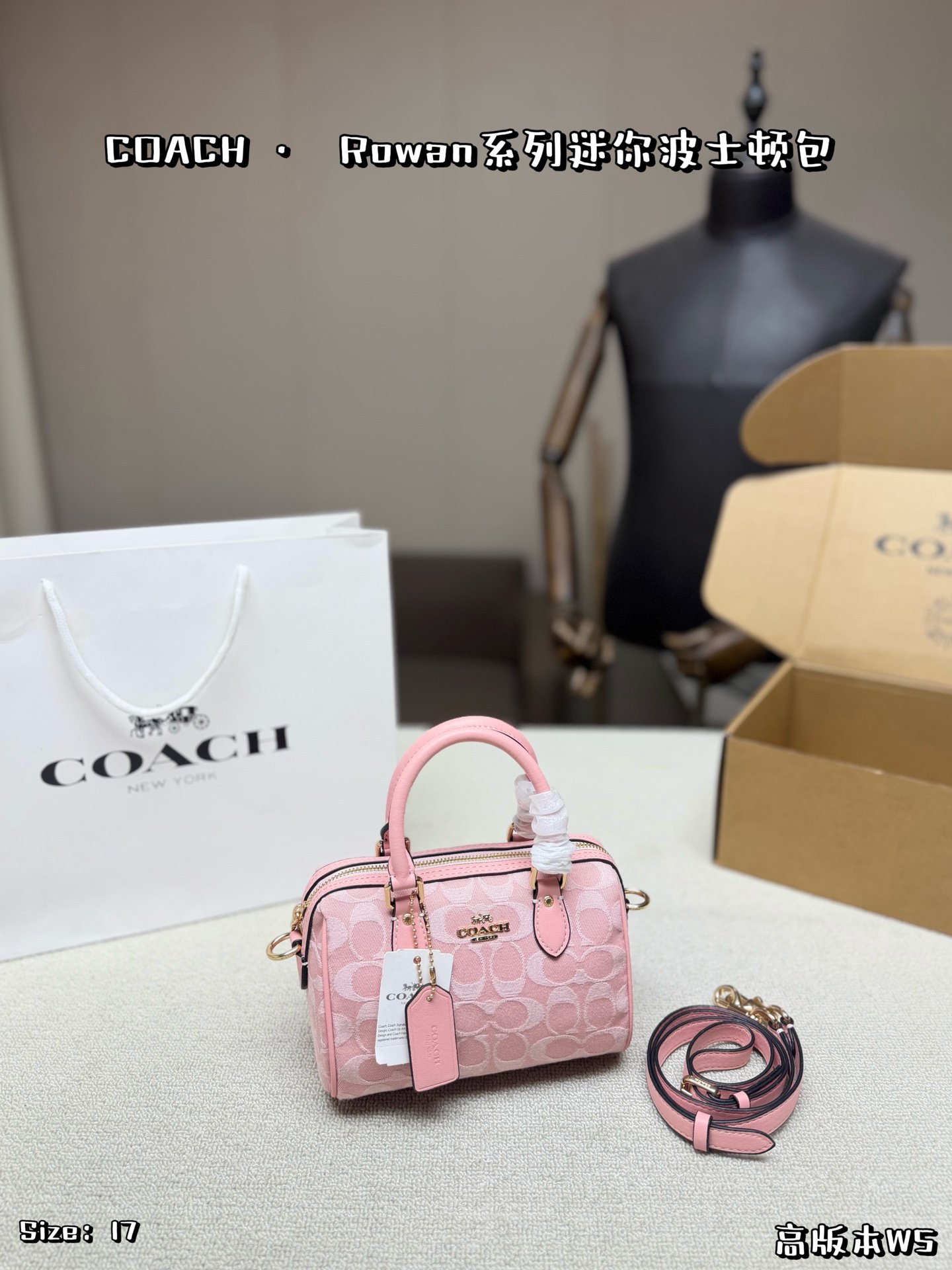 COACH bag Comes with airplane case