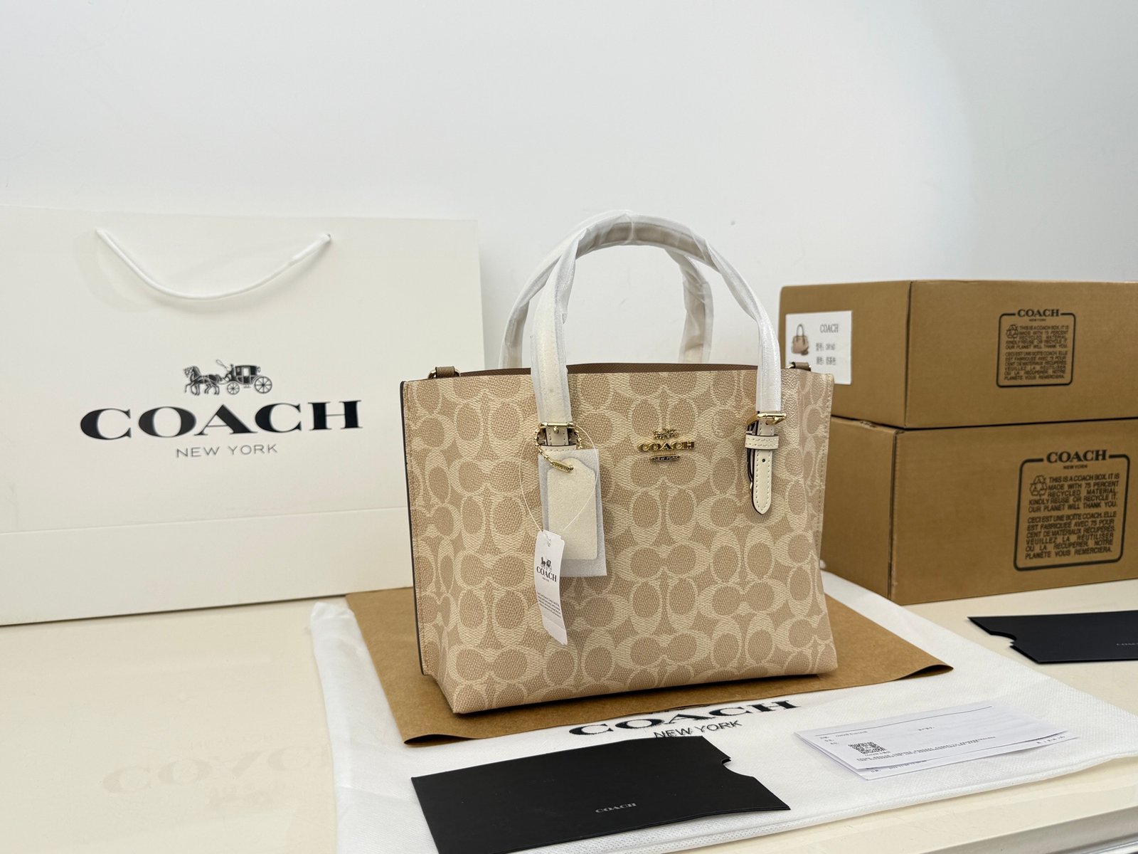 COACH bag coach mollie25