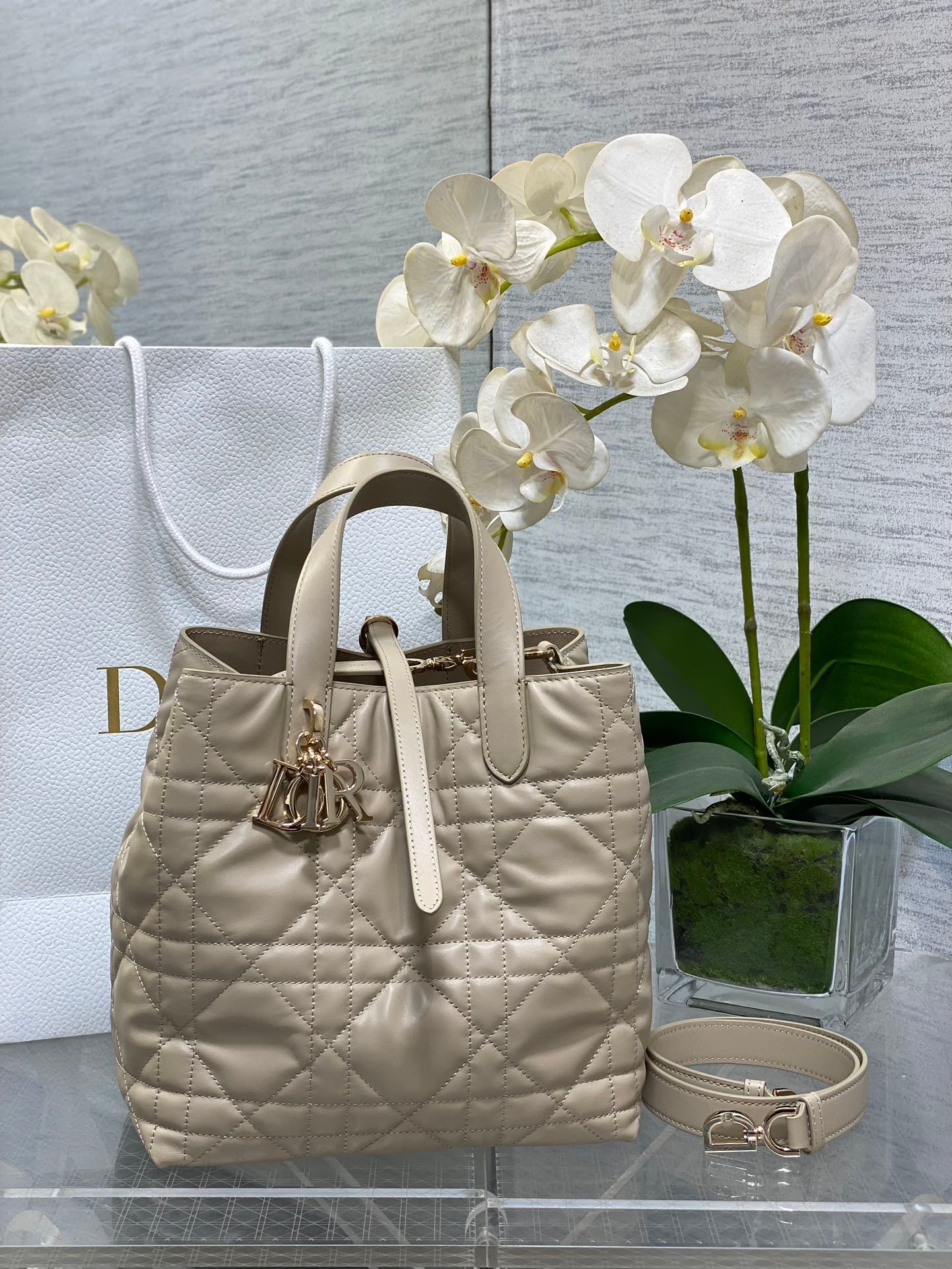 Dior bag Toujours